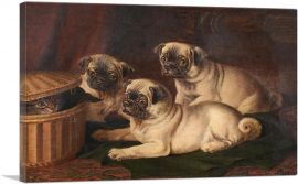 Peeping At The Pugs-1-Panel-18x12x1.5 Thick