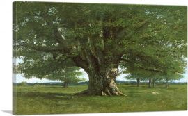 The Oak Of Flagey Called Vercingetorix-1-Panel-26x18x1.5 Thick