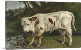 The White Veal-1-Panel-12x8x.75 Thick