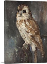 Barn Owl-1-Panel-12x8x.75 Thick