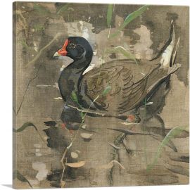 The Moorhen-1-Panel-26x26x.75 Thick