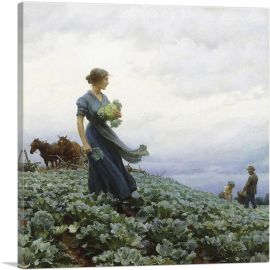 The Cabbage Field 1914-1-Panel-12x12x1.5 Thick