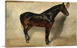 Study of a Brown-Black Horse-1-Panel-18x12x1.5 Thick
