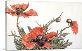 Red Poppies 1929-1-Panel-12x8x.75 Thick