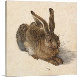 Young Hare 1502-1-Panel-36x36x1.5 Thick