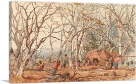 Indian Sugar Camp 1849