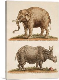 Elaphant And Rhinoceros-1-Panel-12x8x.75 Thick