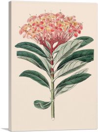 Jungle Geranium Flower-1-Panel-12x8x.75 Thick