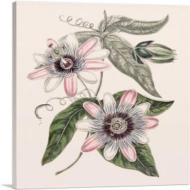 Passion Flower-1-Panel-18x18x1.5 Thick