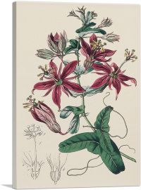 Passion Flowers 1815-1-Panel-12x8x.75 Thick