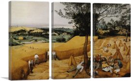 The Harvesters 1565-3-Panels-90x60x1.5 Thick