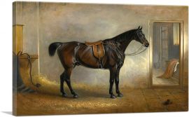 A saddled Dark Bay Hunter in a Loose Box 1848-1-Panel-18x12x1.5 Thick