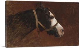 Profile Of a Horse-1-Panel-26x18x1.5 Thick