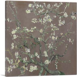 Branches with Almond Blossom - Brown Square 1890-1-Panel-36x36x1.5 Thick
