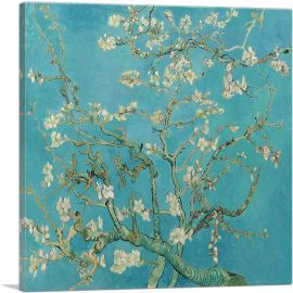 Branches with Almond Blossom - Teal Square 1890-1-Panel-18x18x1.5 Thick