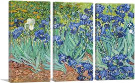 Irises 1889-3-Panels-90x60x1.5 Thick