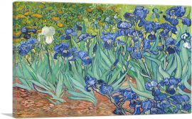 Irises 1889-1-Panel-12x8x.75 Thick