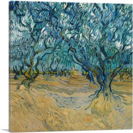 Olive Orchard at Saint-Remy 1889-1-Panel-12x12x1.5 Thick
