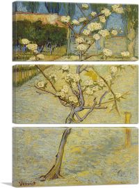 Small Pear Tree in Blossom 1888-3-Panels-60x40x1.5 Thick