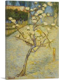 Small Pear Tree in Blossom 1888-1-Panel-18x12x1.5 Thick