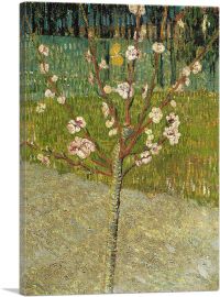 Almond Tree in Blossom 1888-1-Panel-18x12x1.5 Thick