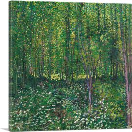Trees and Undergrowth 1887-1-Panel-26x26x.75 Thick