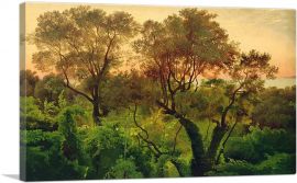 Slope With Olive Trees-1-Panel-40x26x1.5 Thick