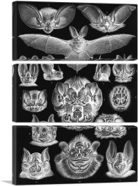 Chiroptera Bat Black 1904-3-Panels-90x60x1.5 Thick
