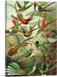 Hummingbirds 1904-1-Panel-60x40x1.5 Thick