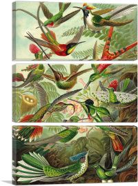 Hummingbirds 1904-3-Panels-90x60x1.5 Thick