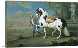 Man Leading Black White Horse