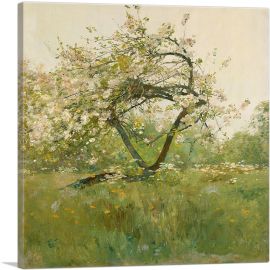 Peach Blossoms 1889-1-Panel-18x18x1.5 Thick