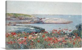 Poppies - Isles of Shoals - America 1891-1-Panel-12x8x.75 Thick