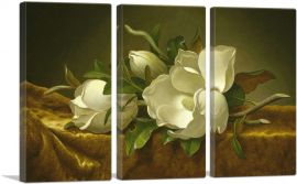 Magnolias on Gold Velvet Cloth 1890-3-Panels-90x60x1.5 Thick