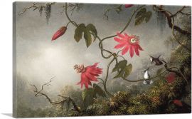 Passion Flowers and Hummingbird-1-Panel-26x18x1.5 Thick