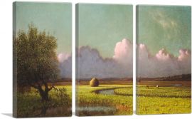 Sunlight and Shadow - The Newbury Marshes 1885-3-Panels-60x40x1.5 Thick