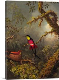 A Pair of Nesting Crimson Topaz Hummingbirds 1883-1-Panel-26x18x1.5 Thick