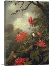 Hummingbird and Passionflowers 1885-1-Panel-26x18x1.5 Thick