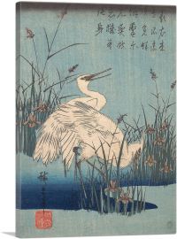 Egret in Iris and Grasses 1837-1-Panel-60x40x1.5 Thick