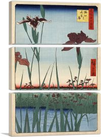 Horikiri Iris Garden 1857-3-Panels-60x40x1.5 Thick