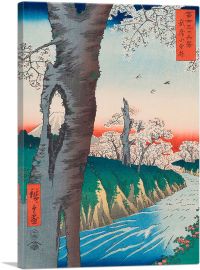 River and Cherry Blossoms - Fuji Sanju Rokkei 1858-1-Panel-12x8x.75 Thick