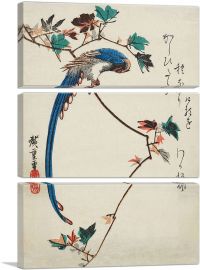 Blue Magpie On Maple Branch-3-Panels-60x40x1.5 Thick