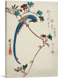 Blue Magpie On Maple Branch-1-Panel-12x8x.75 Thick