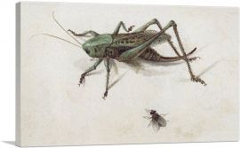 A Grasshopper Beneath Which a Fly 1580-1-Panel-18x12x1.5 Thick