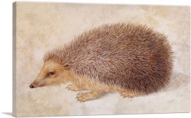 A Hedgehog 1584-1-Panel-12x8x.75 Thick