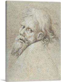 Head Of a Bearded Man 1579-1-Panel-26x18x1.5 Thick