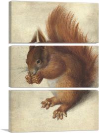 Red Squirrel 1578-3-Panels-60x40x1.5 Thick