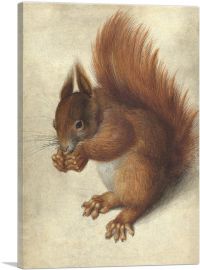 Red Squirrel 1578-1-Panel-40x26x1.5 Thick