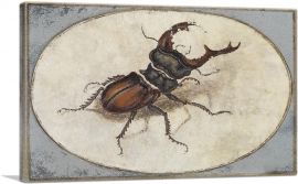 Stag Beetle 1574-1-Panel-12x8x.75 Thick
