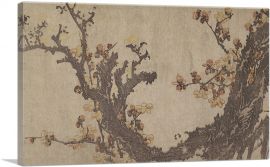 Ancient Plum Tree in Bloom 1800-1-Panel-18x12x1.5 Thick